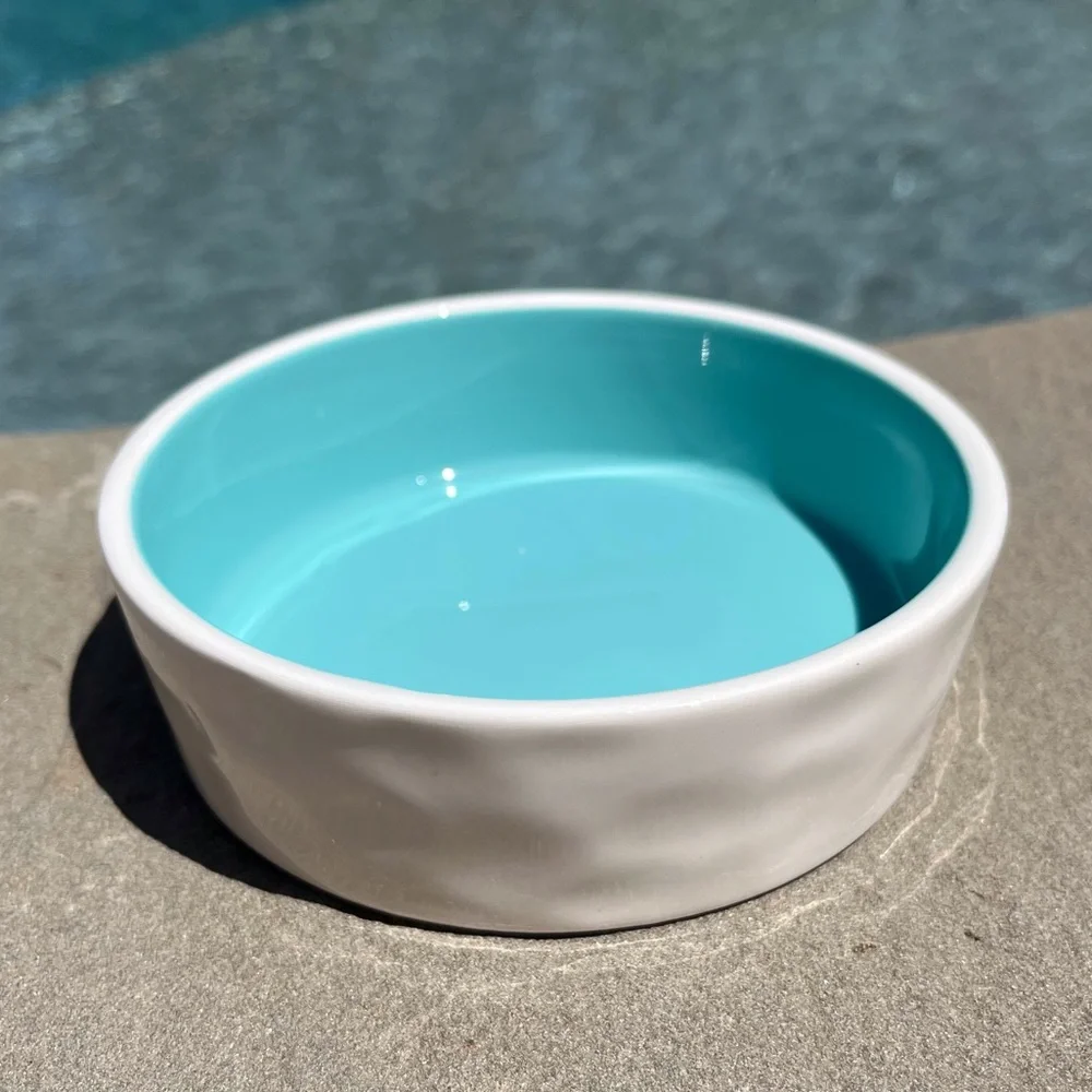 Rae Dunn Pet Bowl White & Turquoise DRINK Artisan Collection By Magenta Dimples
